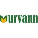 Urvann